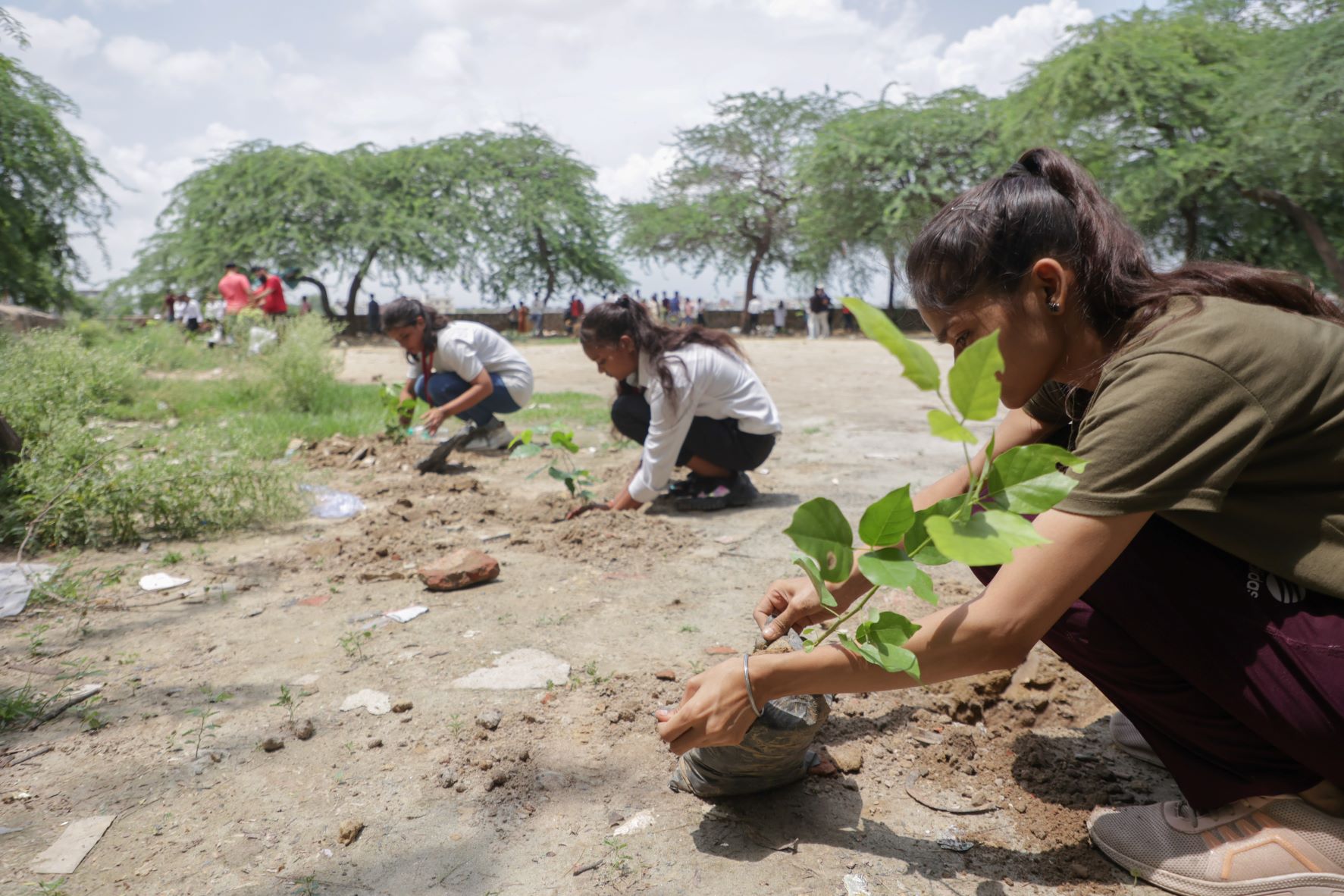 Read more about the article Tree plantation drive in Jahangirpuri, Delhi